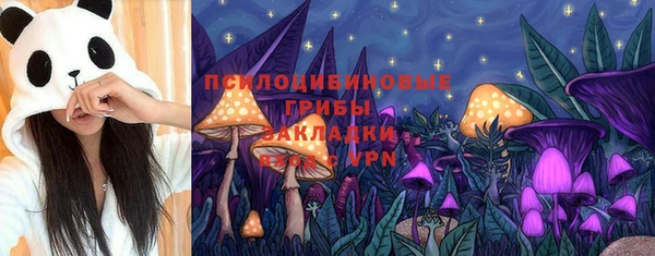 a pvp Михайловск