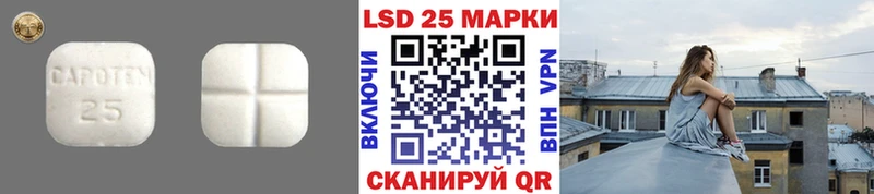 mega зеркало  наркошоп  Кодинск  LSD-25 экстази кислота 