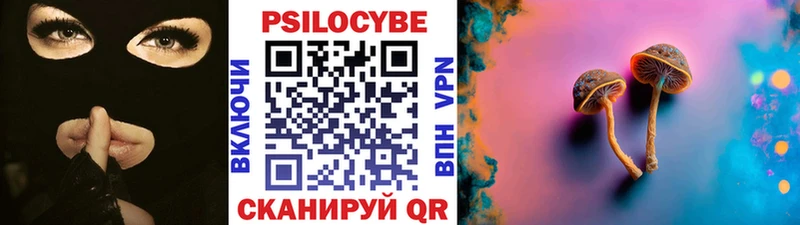 продажа наркотиков  Кодинск  Псилоцибиновые грибы Psilocybine cubensis 